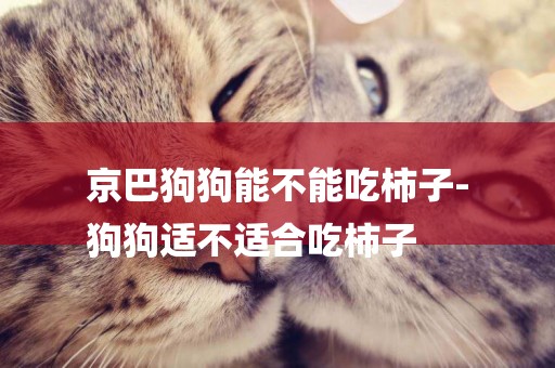 京巴狗狗能不能吃柿子-
狗狗適不適合吃柿子