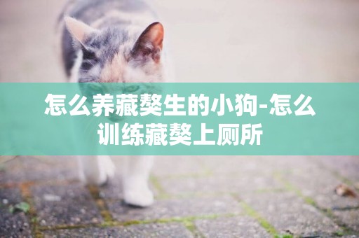 怎么養藏獒生的小狗-怎么訓練藏獒上廁所