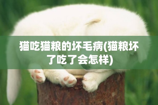 貓吃貓糧的壞毛病(貓糧壞了吃了會怎樣)
