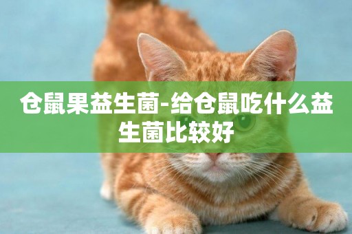 倉鼠果益生菌-給倉鼠吃什么益生菌比較好
