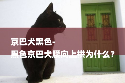 京巴犬黑色-
黑色京巴犬腰向上拱為什么？