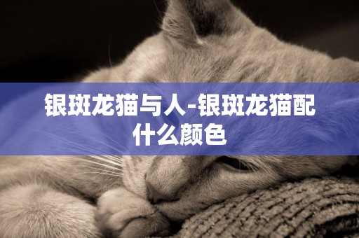 銀斑龍貓與人-銀斑龍貓配什么顏色