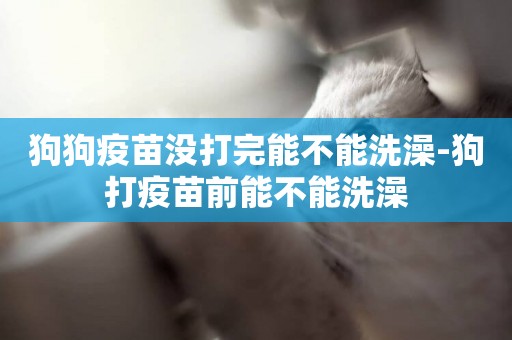 狗狗疫苗沒打完能不能洗澡-狗打疫苗前能不能洗澡
