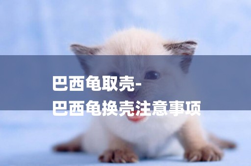 巴西龜取殼-
巴西龜換殼注意事項