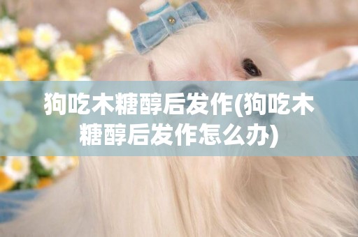 狗吃木糖醇后發作(狗吃木糖醇后發作怎么辦)