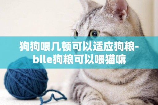 狗狗喂幾頓可以適應狗糧-bile狗糧可以喂貓嘛