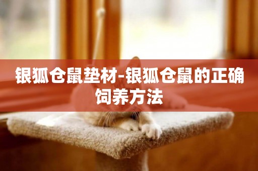 銀狐倉鼠墊材-銀狐倉鼠的正確飼養方法
