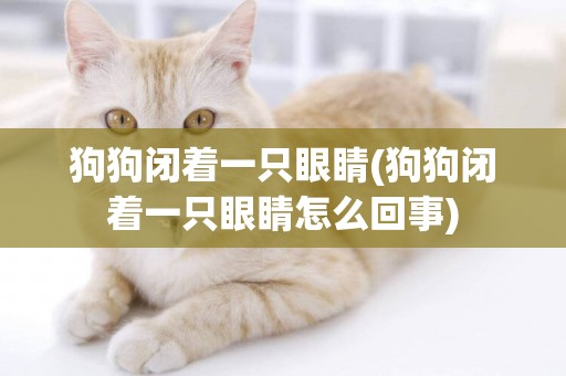 狗狗閉著一只眼睛(狗狗閉著一只眼睛怎么回事)