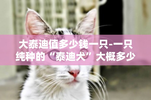 大泰迪值多少錢一只-一只純種的“泰迪犬”大概多少錢