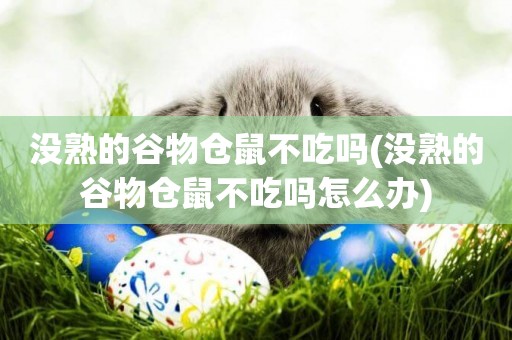 沒熟的谷物倉鼠不吃嗎(沒熟的谷物倉鼠不吃嗎怎么辦)