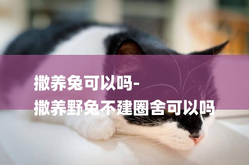 撒養兔可以嗎-
撒養野兔不建圈舍可以嗎