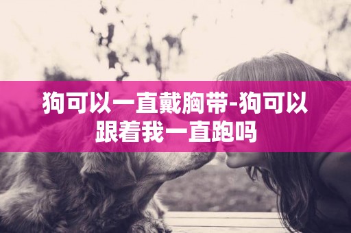 狗可以一直戴胸帶-狗可以跟著我一直跑嗎