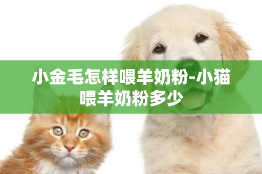 小金毛怎樣喂羊奶粉-小貓喂羊奶粉多少