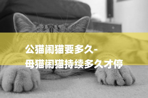 公貓鬧貓要多久-
母貓鬧貓持續多久才停