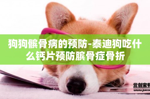 狗狗髕骨病的預防-泰迪狗吃什么鈣片預防臏骨癥骨折