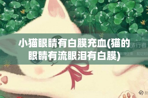 小貓眼睛有白膜充血(貓的眼睛有流眼淚有白膜)