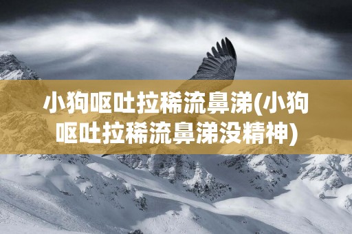 小狗嘔吐拉稀流鼻涕(小狗嘔吐拉稀流鼻涕沒精神)