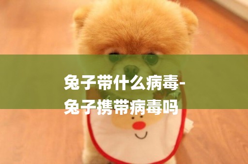兔子帶什么病毒-
兔子攜帶病毒嗎