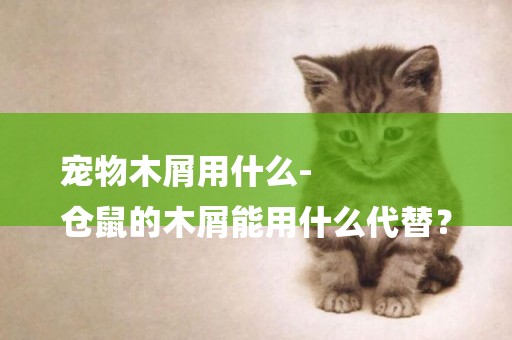 寵物木屑用什么-
倉鼠的木屑能用什么代替？