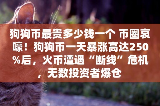 狗狗幣最貴多少錢一個 幣圈哀嚎！狗狗幣一天暴漲高達250%后，火幣遭遇“斷線”危機，無數投資者爆倉 