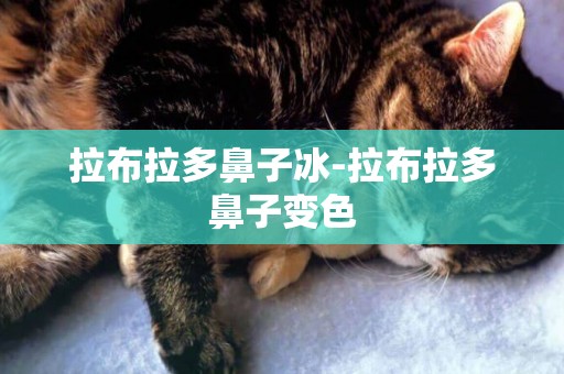 拉布拉多鼻子冰-拉布拉多鼻子變色