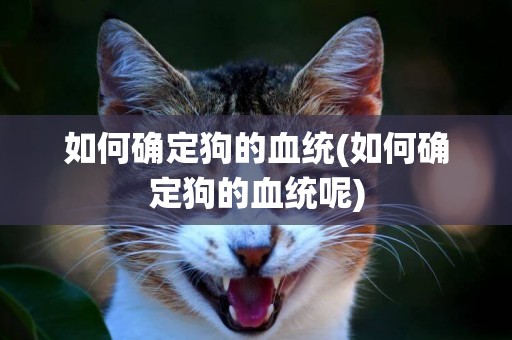 如何確定狗的血統(如何確定狗的血統呢)