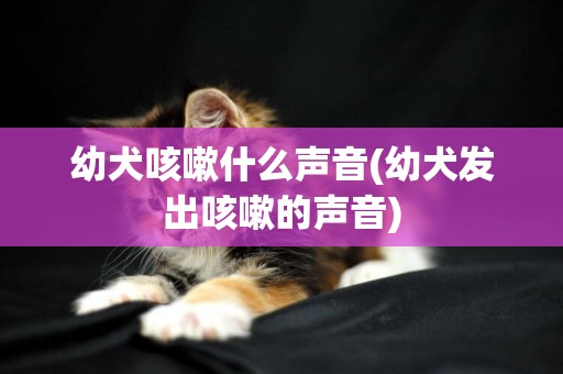 幼犬咳嗽什么聲音(幼犬發出咳嗽的聲音)