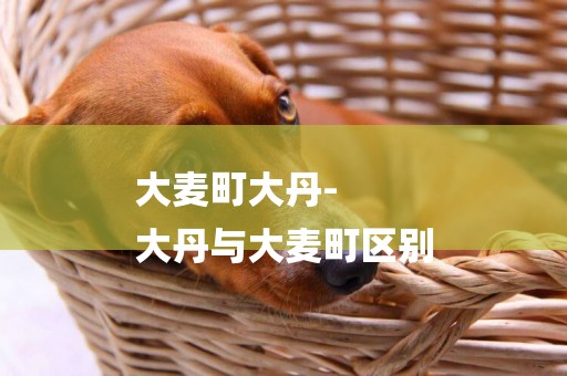 大麥町大丹-
大丹與大麥町區別