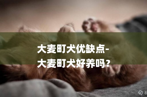 大麥町犬優缺點-
大麥町犬好養嗎？