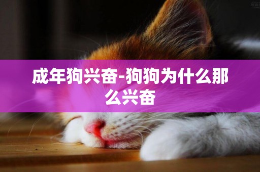 成年狗興奮-狗狗為什么那么興奮