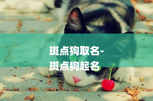 斑點狗取名-
斑點狗起名