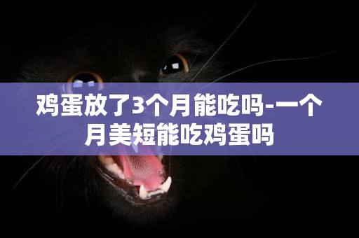 雞蛋放了3個月能吃嗎-一個月美短能吃雞蛋嗎