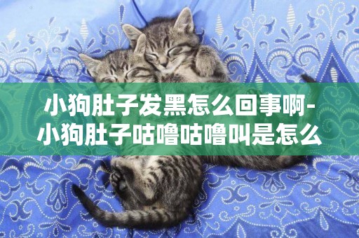 小狗肚子發黑怎么回事啊-小狗肚子咕嚕咕嚕叫是怎么回事