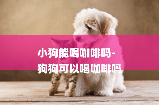 小狗能喝咖啡嗎-
狗狗可以喝咖啡嗎