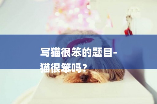 寫貓很笨的題目-
貓很笨嗎？