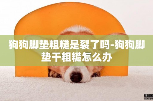 狗狗腳墊粗糙是裂了嗎-狗狗腳墊干粗糙怎么辦