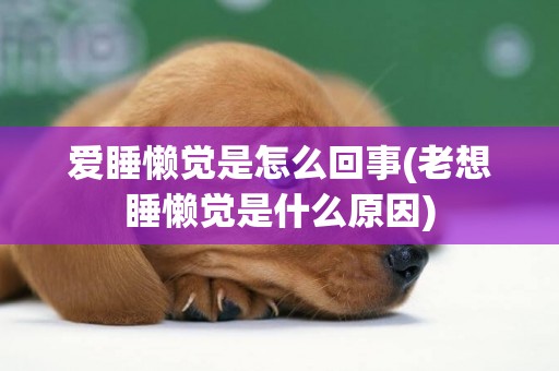 愛睡懶覺是怎么回事(老想睡懶覺是什么原因)