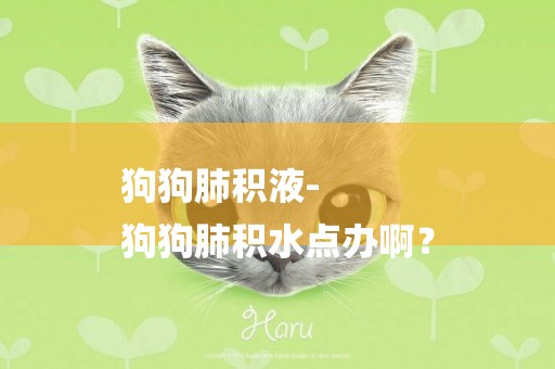 狗狗肺積液-
狗狗肺積水點辦啊？