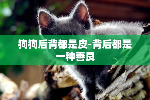 狗狗后背都是皮-背后都是一種善良