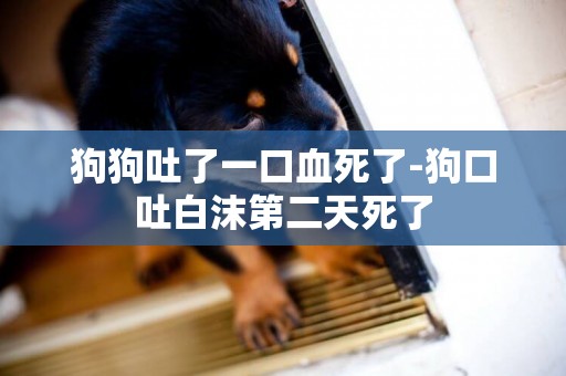 狗狗吐了一口血死了-狗口吐白沫第二天死了