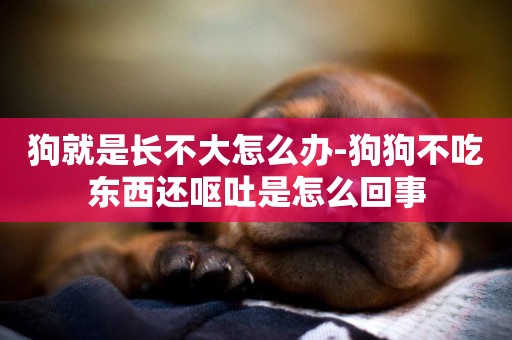 狗就是長不大怎么辦-狗狗不吃東西還嘔吐是怎么回事