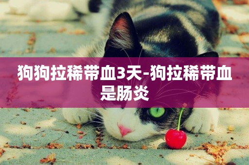 狗狗拉稀帶血3天-狗拉稀帶血是腸炎