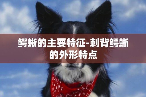 鱷蜥的主要特征-刺背鱷蜥的外形特點