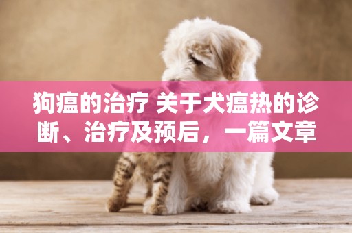 狗瘟的治療 關于犬瘟熱的診斷、治療及預后，一篇文章讓你全面了解 