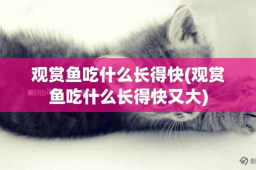 觀賞魚吃什么長得快(觀賞魚吃什么長得快又大)