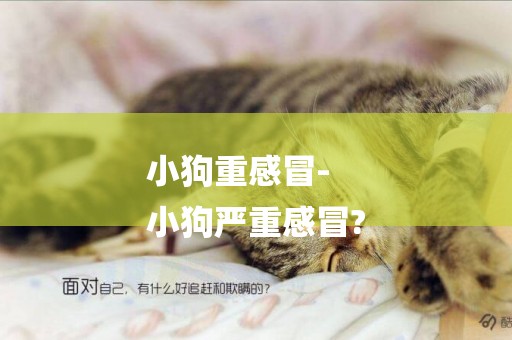 小狗重感冒-
小狗嚴重感冒?