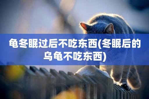 龜冬眠過后不吃東西(冬眠后的烏龜不吃東西)