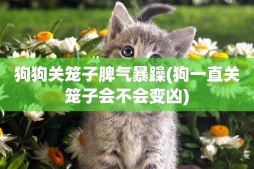 狗狗關籠子脾氣暴躁(狗一直關籠子會不會變兇)