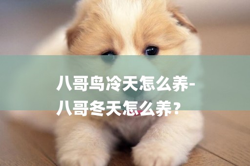 八哥鳥冷天怎么養-
八哥冬天怎么養？