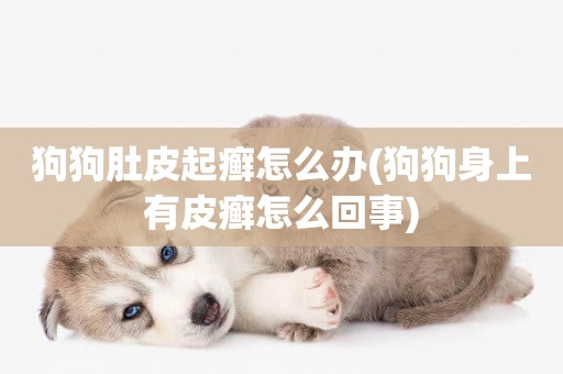 狗狗肚皮起癬怎么辦(狗狗身上有皮癬怎么回事)